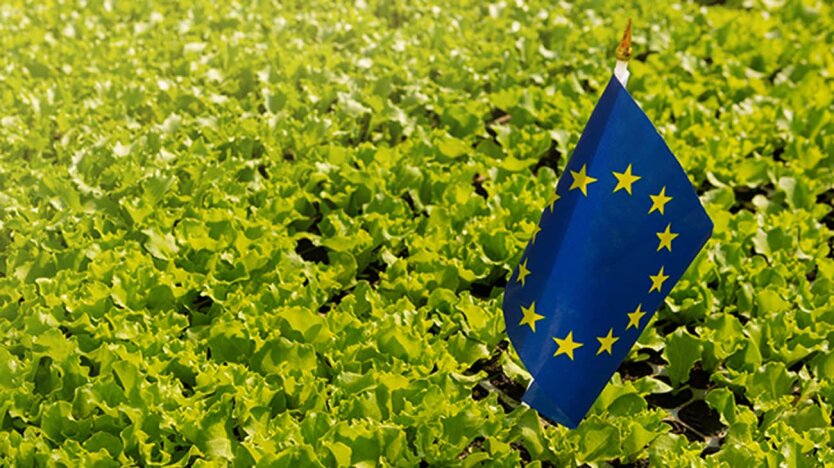 ЄС може підвищити тарифи на імпорт з України: FT дізналося подробиці