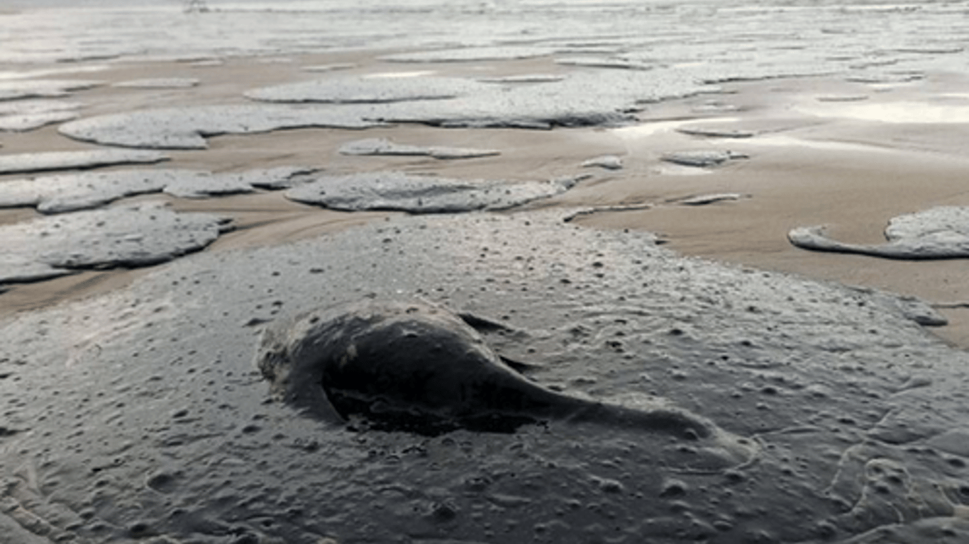 Dangerous Russian fuel oil in Odesa region - ecologists sound the alarm