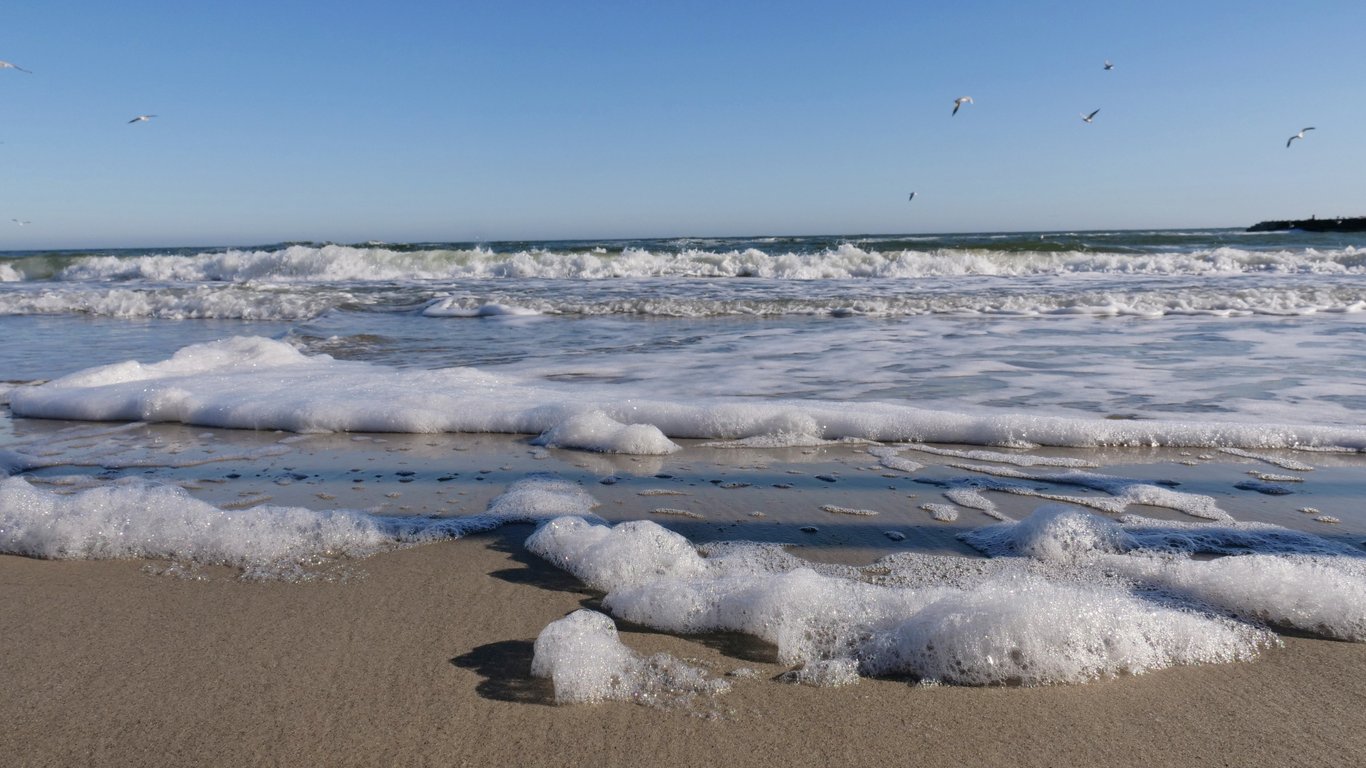 Der Seedrachen ist zurück – was verbirgt das Schwarze Meer noch?