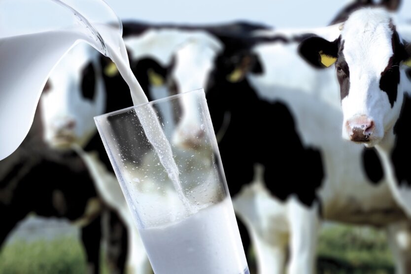 Analytiker berichteten über eine neue Preisdynamik bei Milch: Was erwartet die Verbraucher im Juni